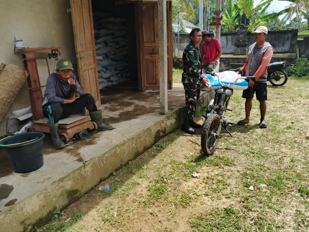 Babinsa Selisihan Hadir Beri Pendampingan Penyaluran Pupuk Bersubsidi bagi Warga Subak Selisihan 