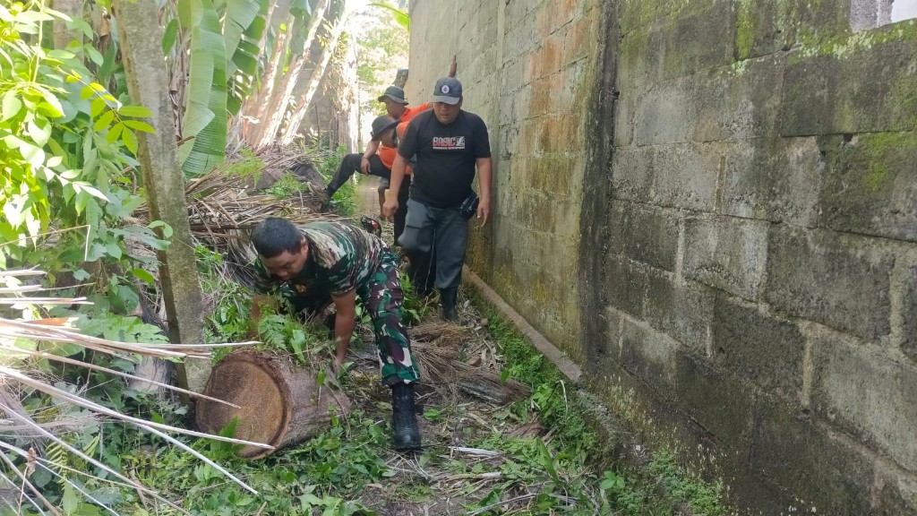 Aparat TNI Polri Dan BPBD Tangani Musibah Pohon Tumbang Di Desa Sampalan Tengah