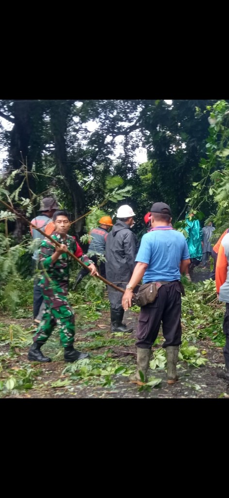Pohon Tumbang Tutup Akses Jalan Punduk Dawa-Pesinggahan, Aparat TNI Polri Dan BPBD Klungkung lakukan Penanganan