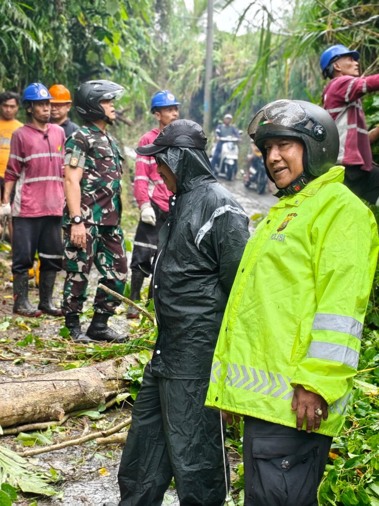 Aparat Gabungan Di Klungkung Bersatu Tangani Musibah Pohon Tumbang Di Desa Tihingan