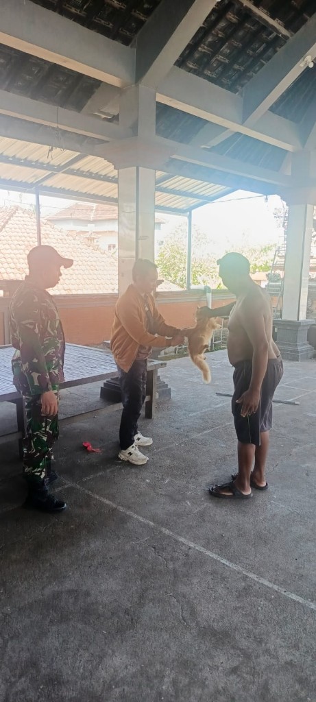 23 Hewan Anjing Dan Kucing Di Desa Paksebali Di Vaksin Rabies, Sertu Agus PAnde Hadir Beri Pendampingan