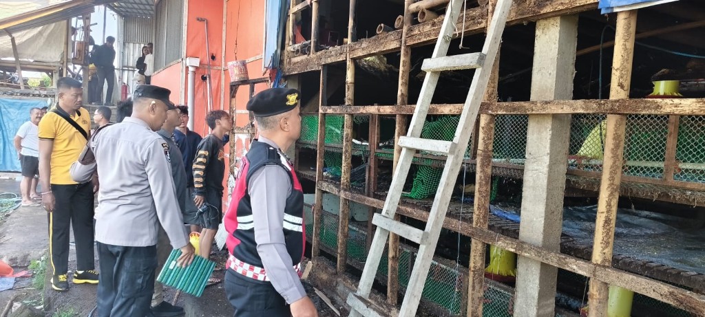 Akibat konsleting listrik kandang ayam pedaging milik Sudira di...