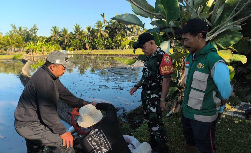Babinsa Bakas Hadiri Penanaman Padi Demplot PM-AAS, Bukti TNI Hadir Untuk Petani