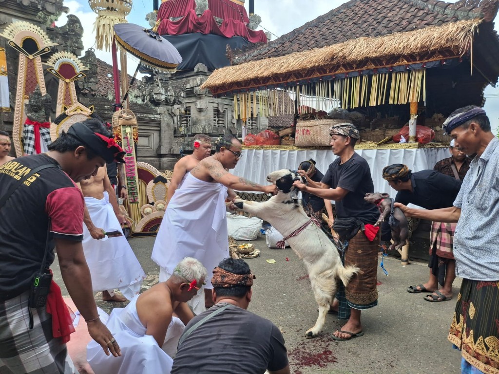 Pepada Alit di Pura Penataran Ageng Taman Bebalang Gunakan Beraneka Wewalungan
