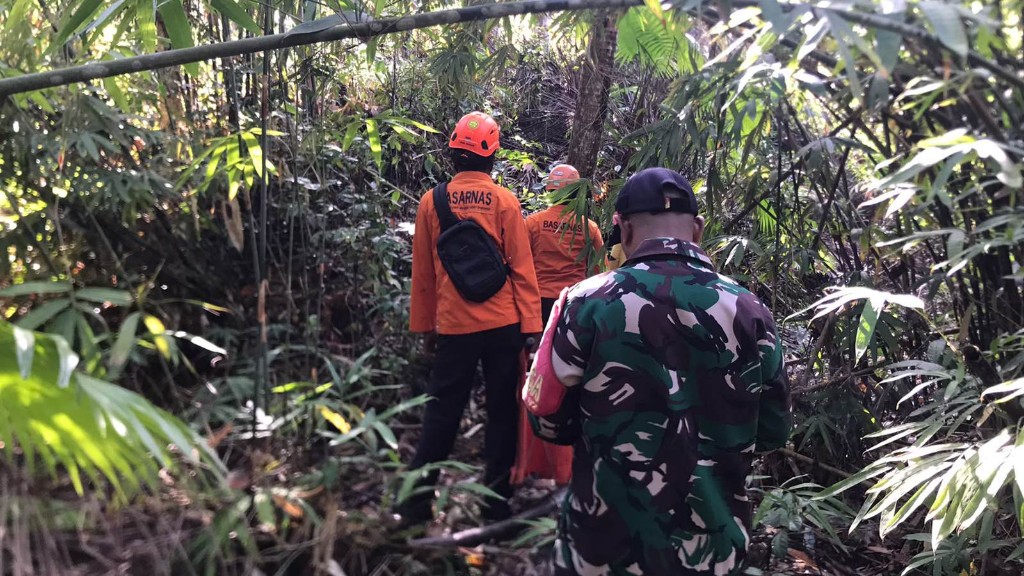 Pergi ke kebun, ditemukan linglung 