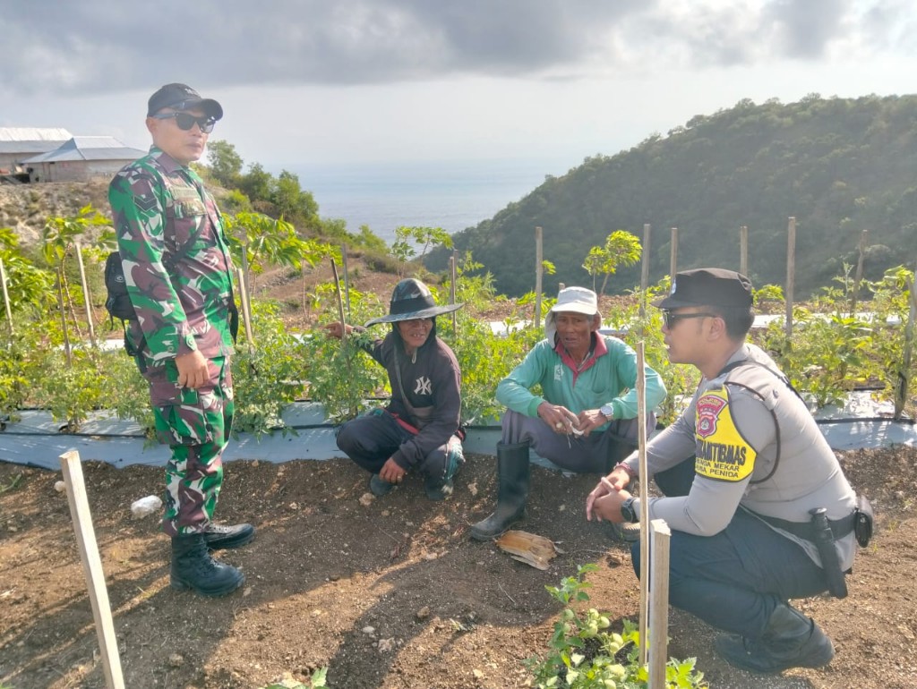 Komsos Cegah Karhutla,  Babinsa Bunga Mekar Ajak Petani Tidak Lakukan Pembakaran Saat Buka dan bersihkan Lahan