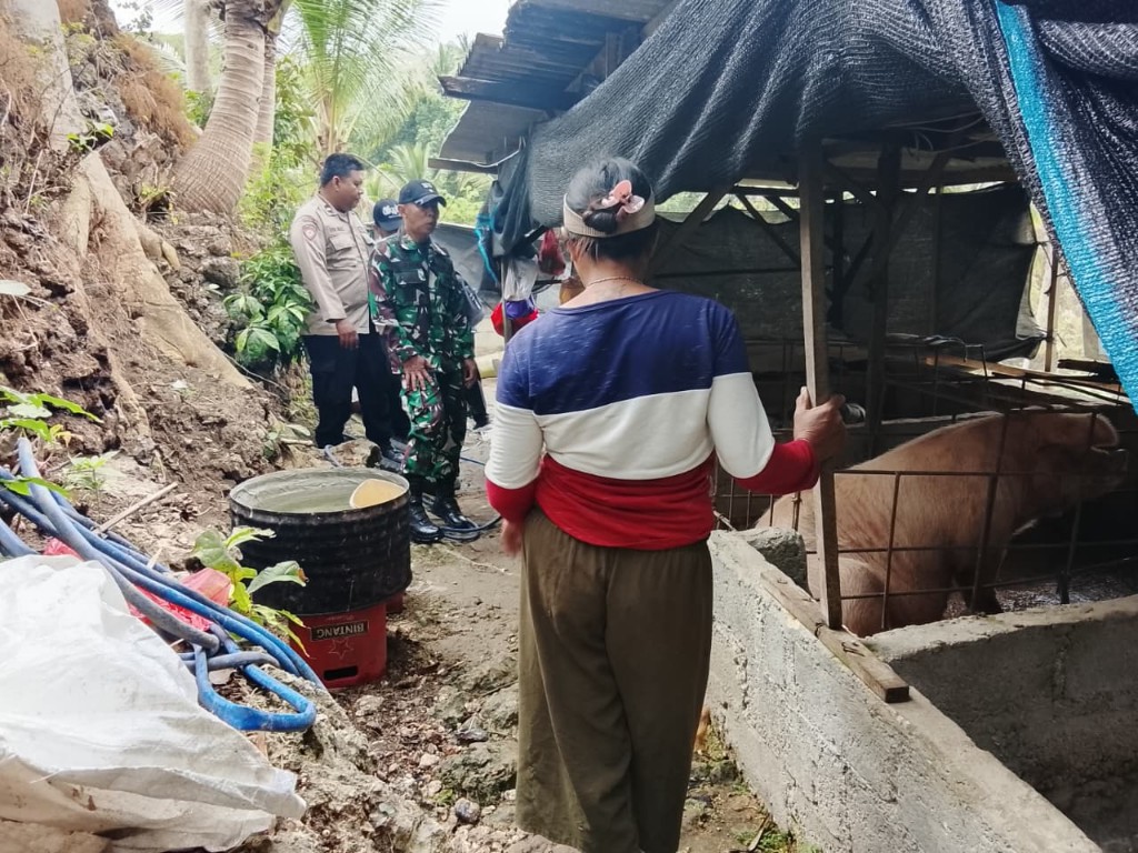 Danramil Nusa Penida Tinjau Peternakan Babi, Perkuat  Ketahanan Pangan Hewani