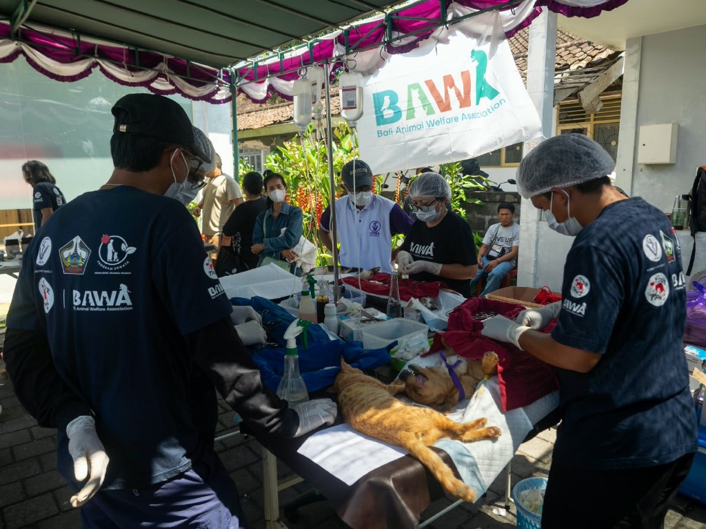 Peringati Hari Rabies Sedunia 2026: Kolaborasi Lintas Sektor di Bangli Perkuat Pendekatan One Health dan Kesejahteraan Hewan